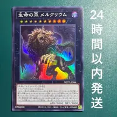 遊戯王 不死の大軍団 生命の葉メルクリウム 2枚セット 遊戯王OCG『生命の汞 メルクリウム』スーパーレア 2枚セット - メルカリ