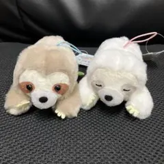 くったりナマケモノ　とろりんちょ　VMC 2セット