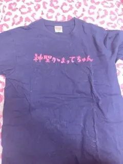 神聖かまってちゃん ライブ半袖Tシャツ ネイビー Mサイズ