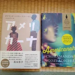 美式小說 奇瑪曼達·恩戈茲·阿迪契 日英套裝
