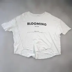 AFRICATARO. Tシャツ ホワイト F オーバーサイズ　クロップド丈のサムネイル