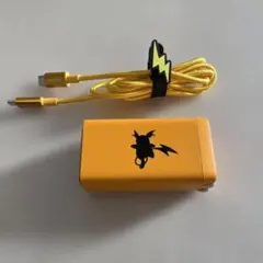 ANKER ライチュウモデル USB急速充電器 120W