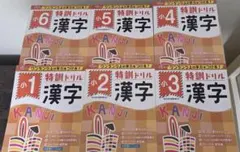 【新品同様・未使用】特訓ドリル 漢字 小学1年〜6年 全6冊セット 受験研究社のサムネイル