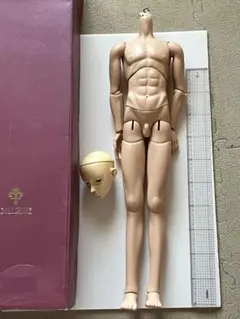Dollzone B70-004？70cm 男性ボディ＋ヘッド ドール BJD
