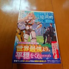アラサー魔導士の辺境湖畔暮らし～初級魔法で魔王を瞬殺してしまった俺は、無気力に…のサムネイル