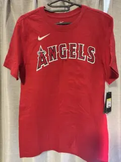 Item thumbnail for item b2728890-03fc-43fb-b1b0-43d772aec9a5