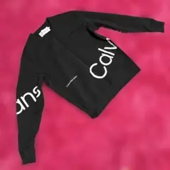 Calvin Klein トレーナー