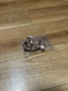 アンディが来た　ブルズアイ