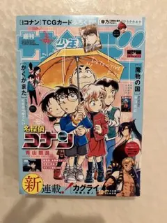 週刊少年サンデー1994年47号 希少☆週刊少年サンデー 1994年47号 名探偵コナン表紙＆巻頭カラー