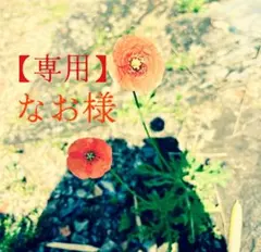 なお様 リクエスト 2点 まとめ商品