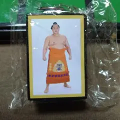 Item thumbnail for item 764d5f0d-59d4-433c-9157-b9cb4f9d0e3d