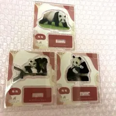 アドベンチャーワールド アクリルスタンド 雄浜 良浜 9枚セット - メルカリ