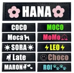 Item thumbnail for item 57f69110-cc1b-4dae-9468-e91cd191c36c