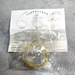 うちの子のけだまだま　プードル