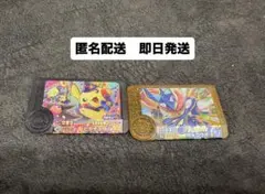 ワンダーピカチュウ&レガシーゲッコウガ