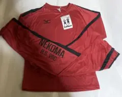 Item thumbnail for item 2650a490-2430-4612-8266-14b8b465df46