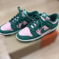NIKE ダンクロー レトロ SE NIKE DUNK 26.5㎝試着のみ