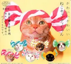かわいいかわいい ねこキャンディちゃん　フルコンプ6種類