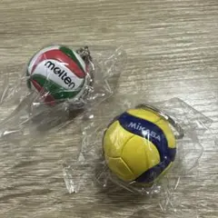 미카사 몰튼 발리볼 미니 키 홀더 2개 세트
