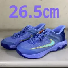 Item thumbnail for item 77925253-e31b-4668-a4e6-0d85673553b7