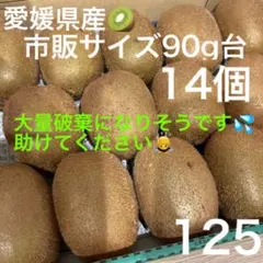 愛媛県産 キウイ 90g台14個入り