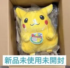 ポケモン30周年記念 おかえり！ピカチュウ1/1　ぬいぐるみ