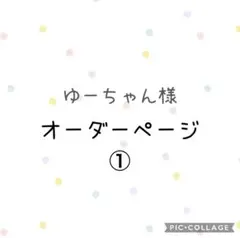ゆーちゃん様 オーダーページ 保温保冷お弁当袋 ゆーちゃん様 オーダーページ 保温保冷お弁当袋 - メルカリ