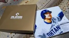 大谷翔平サイン入りトートバッグ&バスタオルミニハンカチタオルセット