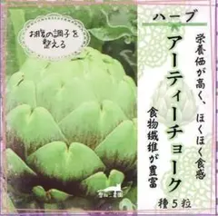 【ハーブの種】「アーティチョーク」種 5粒 ほのかなあまみとホクホク食感！