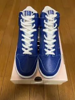 2025年最新】nike dunk sb t19の人気アイテム - メルカリ