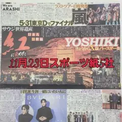 匿名配送！送料込み！ 11月23日 朝刊　 スポーツ紙全5社