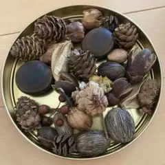 秋の自然素材のクラフト用素材セット