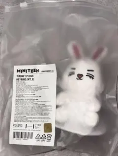 ミニティーン チェチェリー MINITEEN エスクプス ぬいぐるみ PUSH