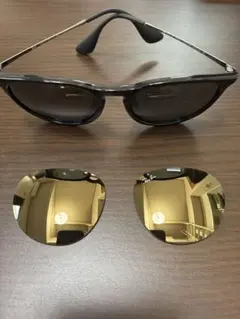 レイバン ERIKA RB4171-F 622/8G 54サイズ