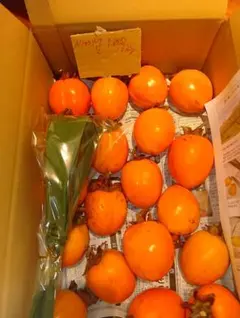 商品 No.107干し柿作り用愛宕柿 Ｌサイズ 200g程度果実58個10kg