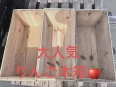 りんご箱　3個セット　USED 中古品