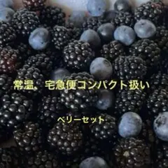お得‼️ベリーベリー600gセットのサムネイル
