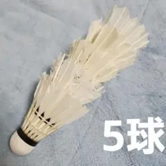 バドミントンシャトル（使用済み） 2025年最新】バドミントン シャトル 使用済の人気アイテム - メルカリ