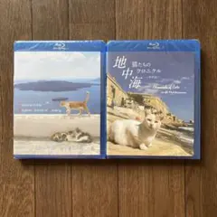 Item thumbnail for item ebae52e5-bee5-4019-9958-8a1a2e20c0cb