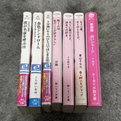 恋愛小説 まとめ売り 野いちご文庫 角川ビーンズ文庫