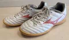 Item thumbnail for item 0f503346-775f-4246-af44-520d94b08542