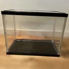 2026年最新】曲げガラス水槽の人気アイテム - メルカリ