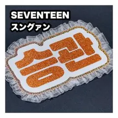 スングァン　SEVENTEEN セブチ　ネームボード　うちわ文字　ネムボ