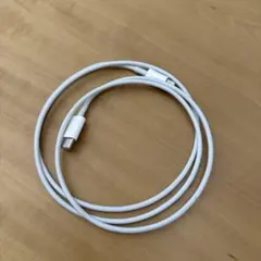 アップル純正　Lightningケーブル