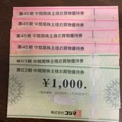 ビックカメラ　コジマ 株主優待券 ¥6000円分 2025年11月30日まで