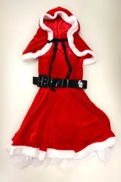 Item thumbnail for item 01b7262e-f40d-4c08-a7f4-0f5a5e70a60c