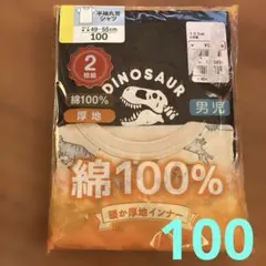 Item thumbnail for item e49020b1-fb6e-440d-97a2-ddfdaae6fb49