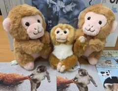2026年最新】市川動植物園くじの人気アイテム - メルカリ