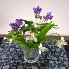 Item thumbnail for item 38a8e980-8771-46d1-89c8-11455f768f66