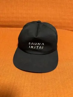 サウナイキタイ